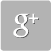 Google+